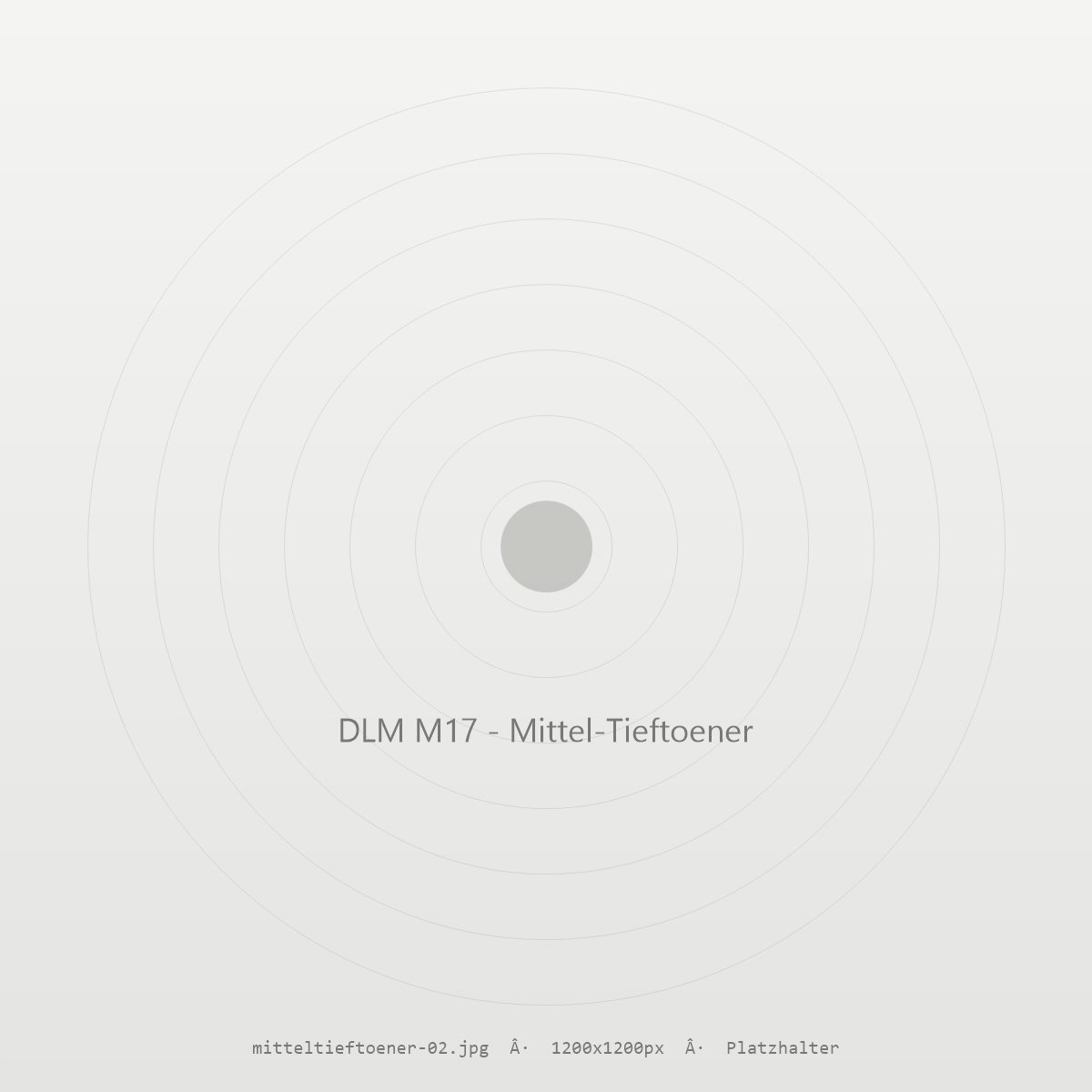 DLM Mittel-Tieftöner-Chassis